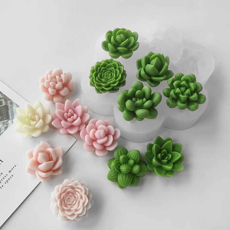 7-in-1 Sukkulenten-Kaktus-Sili – Soap Making Fragrance Bewertung und Preis