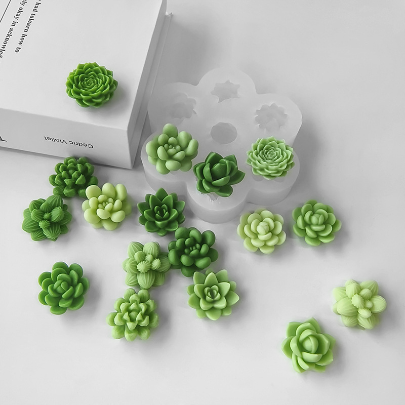 7-in-1 Sukkulenten-Kaktus-Sili – Soap Making Fragrance Bewertung und Preis