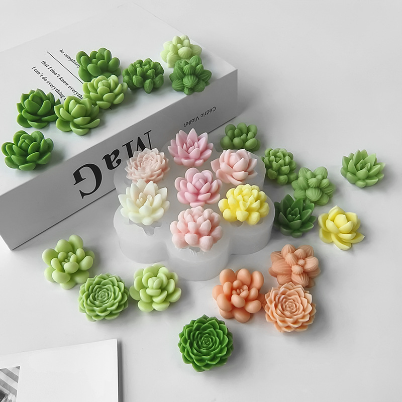 7-in-1 Sukkulenten-Kaktus-Sili – Soap Making Fragrance Bewertung und Preis