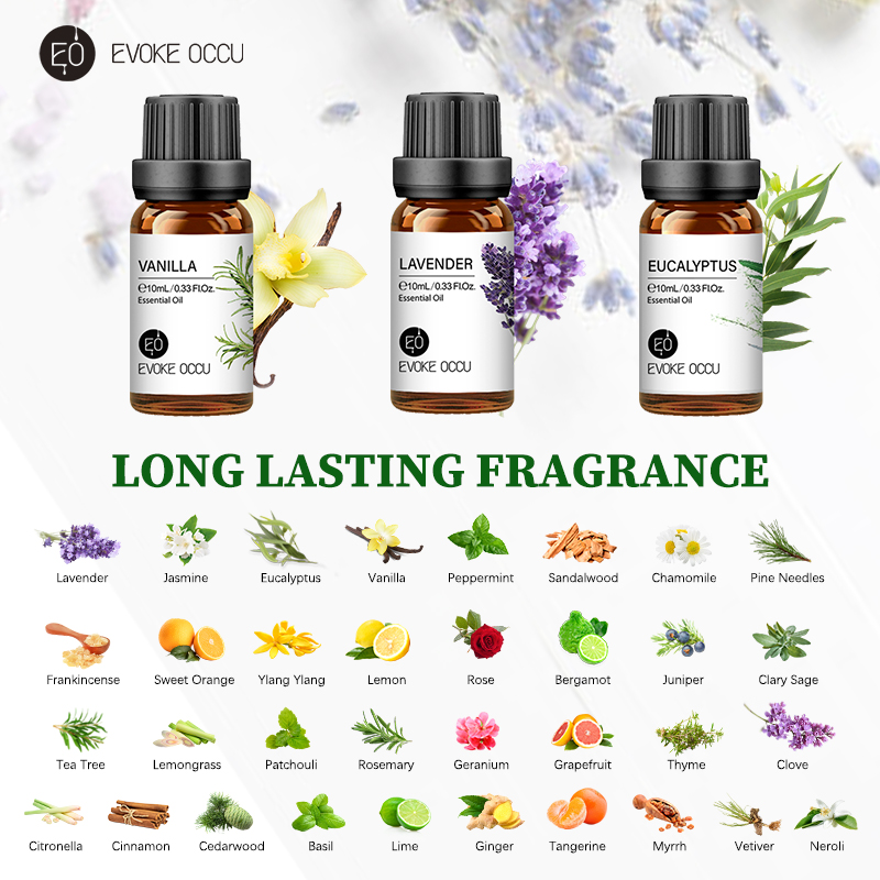 EVOKE OCCU 10 ml ätherisches Ö – Soap Making Ingredients Bewertung und Preis